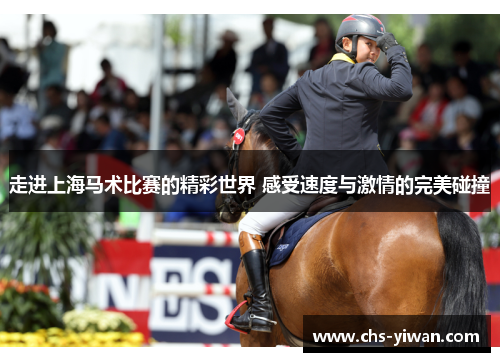 走进上海马术比赛的精彩世界 感受速度与激情的完美碰撞