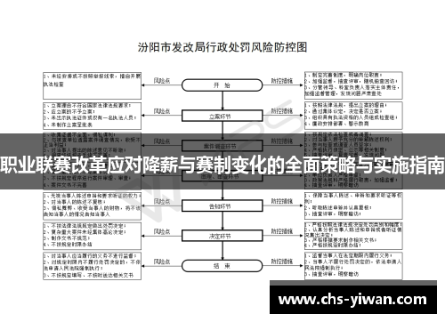 职业联赛改革应对降薪与赛制变化的全面策略与实施指南