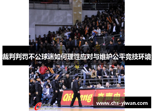 裁判判罚不公球迷如何理性应对与维护公平竞技环境