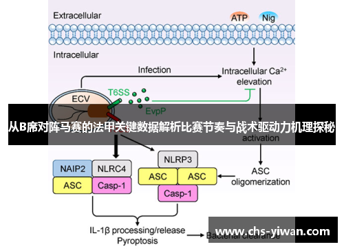 从B席对阵马赛的法甲关键数据解析比赛节奏与战术驱动力机理探秘 从B席对阵马赛的法甲关键数据解析比赛节奏与战术驱动力机理探秘