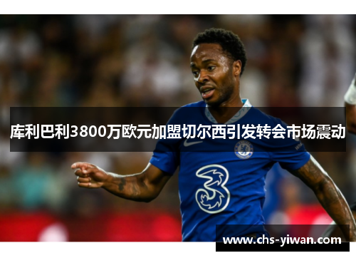 库利巴利3800万欧元加盟切尔西引发转会市场震动 库利巴利3800万欧元加盟切尔西引发转会市场震动